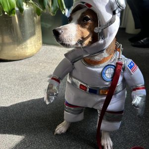 Astronauta